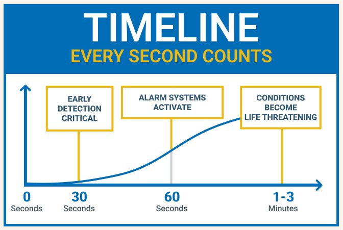 Timeline